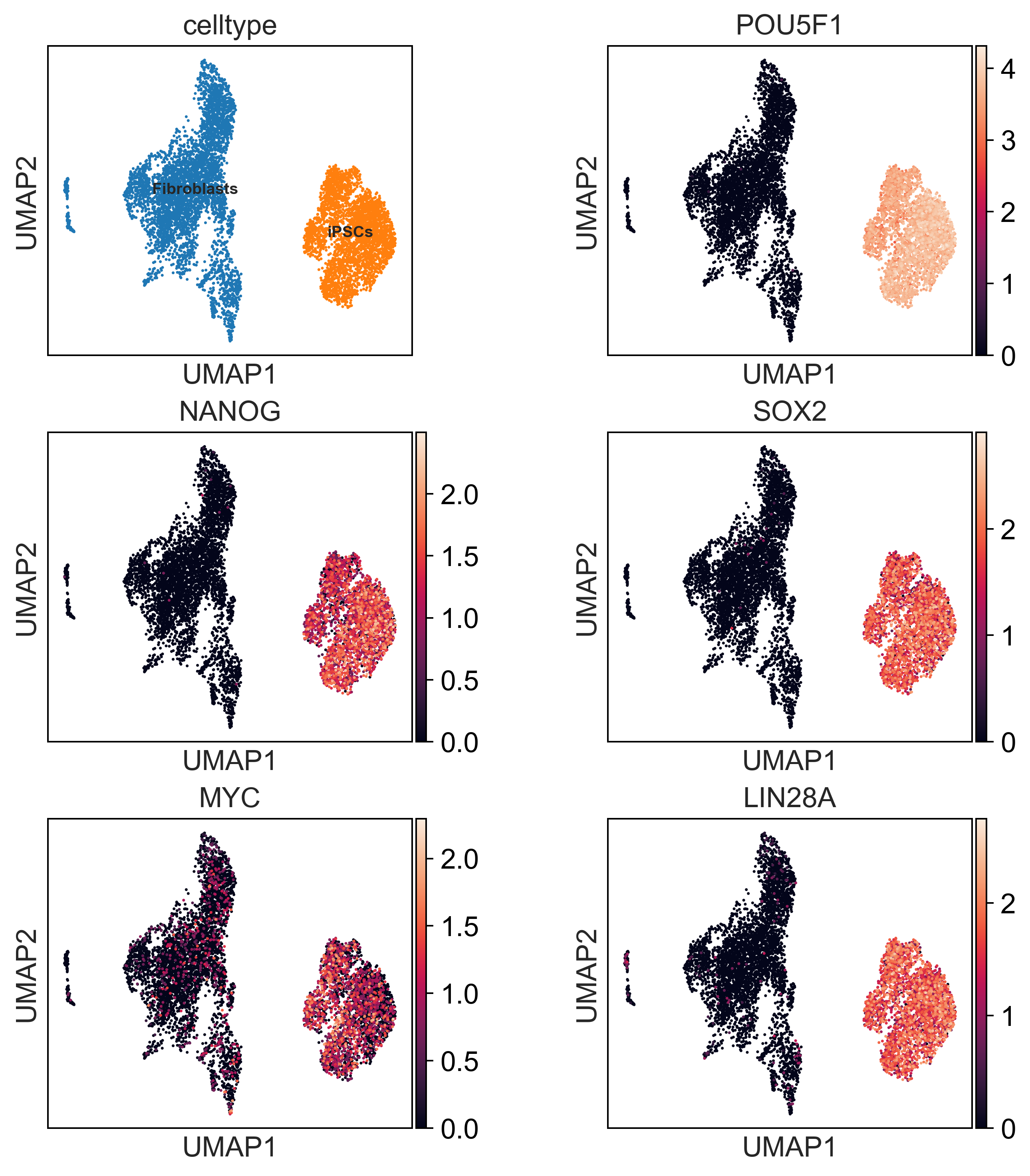 ../../_images/tutorial_example_scRNA_process_scRNA_process_17_0.png